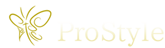 飯田市整体飯田市整体プロスタイル